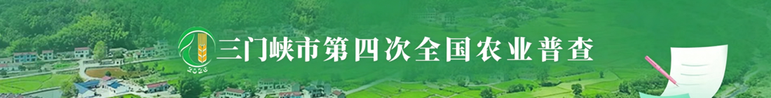首页广告位